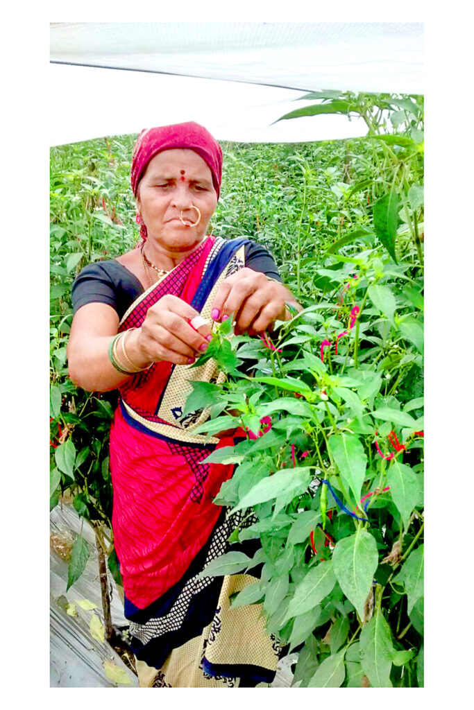 ABOUT US — SARA GLOBAL VENTURES 001