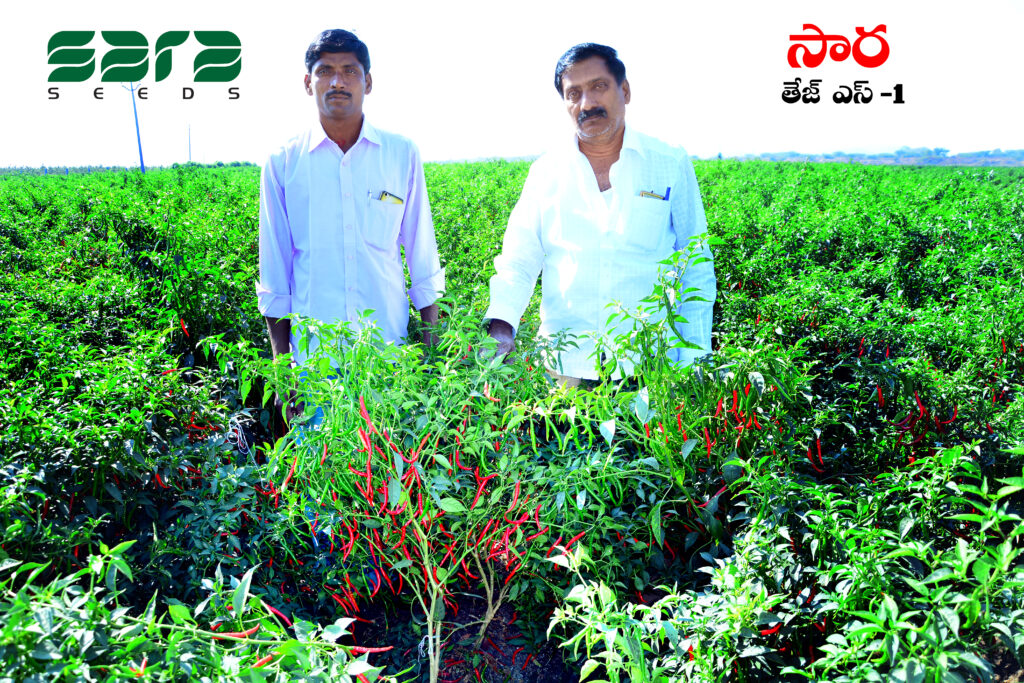 ABOUT US — SARA GLOBAL VENTURES photo by littleboy