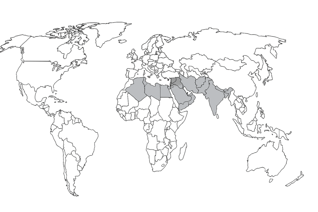 chatgpt image dec 9, 2025, 01 26 46 am