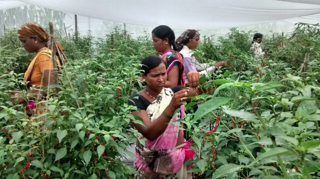 ABOUT US — SARA GLOBAL VENTURES img 20180125 wa0002