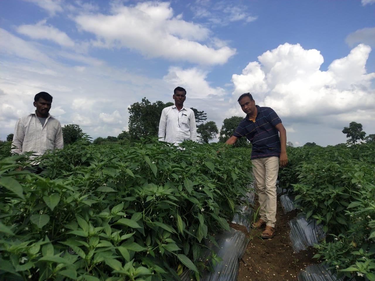 Home img 20251209 wa0047