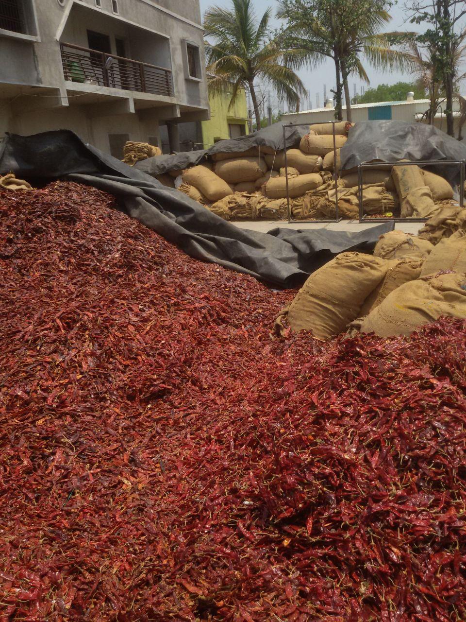 Home img 20251209 wa0108