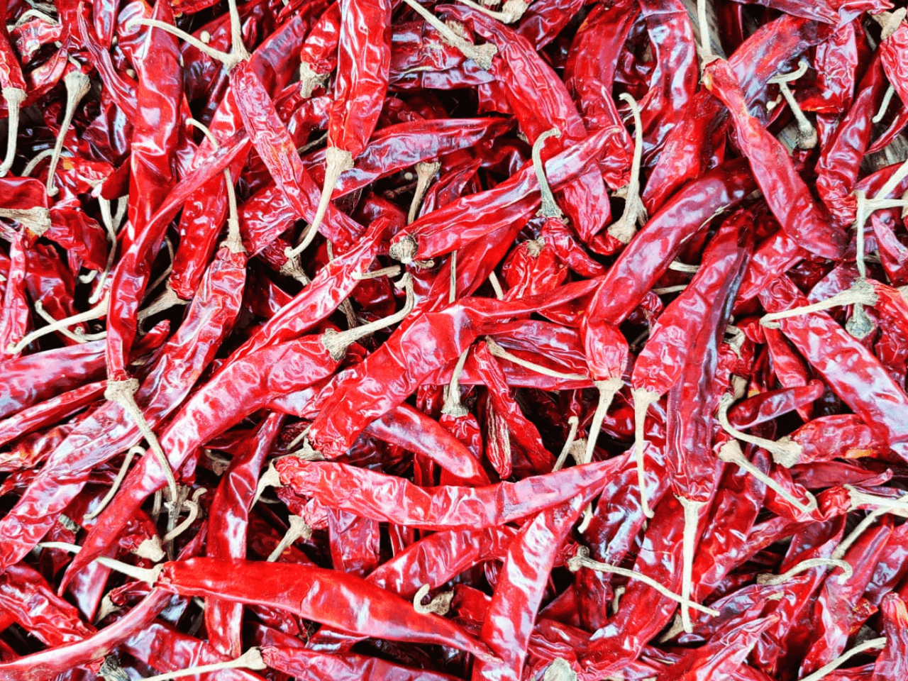 wonder hot wonder hot